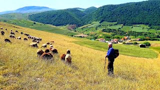 Download lagu DESA GILAN, IRAN: KEHIDUPAN DESA YANG DAMAI DI BALIK KABUT DAN HUTAN mp3 Download lagu DESA GILAN, IRAN: KEHIDUPAN DESA YANG DAMAI DI BALIK KABUT DAN HUTAN mp3