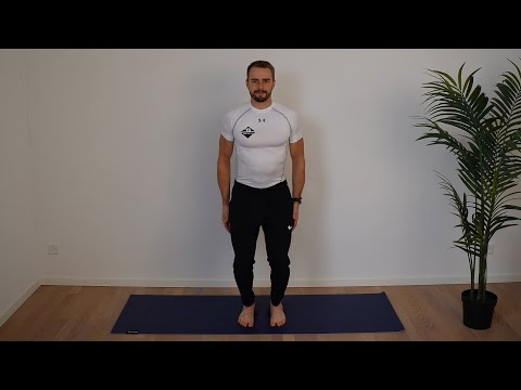 (TB) 407 FAMO Armkreis Kniebeuge Ferse Halbball