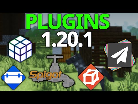How To Make a Minecraft Server with Plugins (1.20.1)