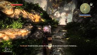 PC Longplay [249] The Witcher 2 Assassins of Kings (part 4 of 9)