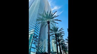 Miami Metrorail Transit Run