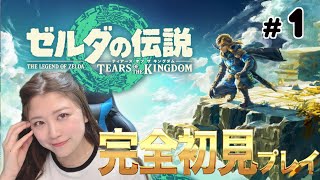 新作「ゼルダの伝説ティアーズオブザキングダム」発売日にプレイしていく🔥🔥完全初見！！
