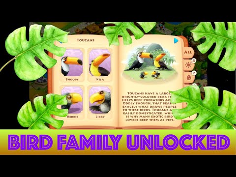 TOWNSHIP ZOO: Unlocking the Toucans (Bird Family) #25