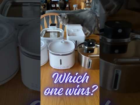 Thumbnail for The Cat Water Fountain My Scared Cat Chose 🐱 (7 Tested, 1 Winner!) by video, Car, vide, video i