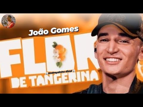 João Gomes - Flor de Tangerina ( Lançamento )