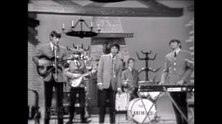 NEW * It&#39;s My Life - The Animals &quot;LIve&quot; {Stereo} 1965