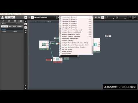 How to Make a Nice Echo Delay Effect with Reaktor