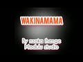 Salawa Nyangumi Kikundi Cha Wakina Mama