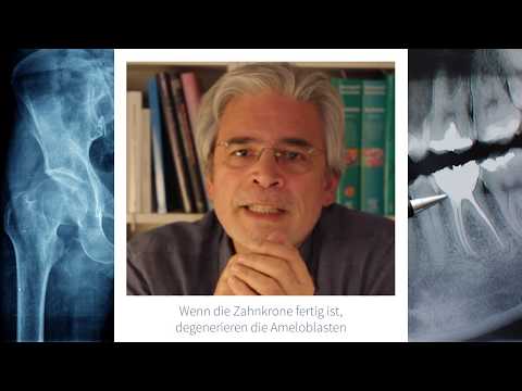 Wieso heilen Knochen, Zähne aber nicht?