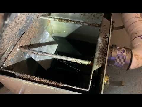 Dirty Grease Trap Attracts Drain Flies in Basking Ridge, NJ