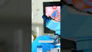 Download lagu How hard is it to make a new Ebola vaccine? mp3