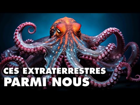 Les plus extraterrestres de tous les terriens, les super-pouvoirs des pieuvres.