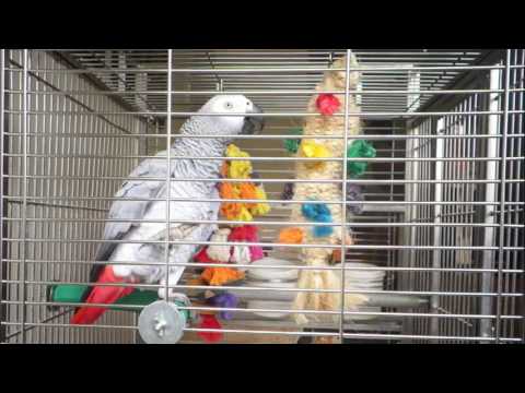 2016/05/23  教訓玩具