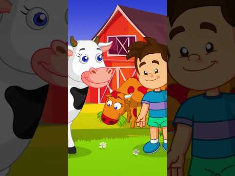 Pintainho Amarelinho  - Quinta da Avó Maria