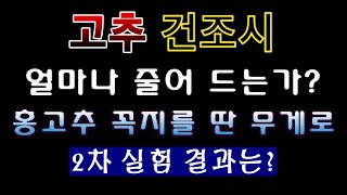 [텃밭농부. 1,209]  꼭지 딴 홍고추를 말리면 건고추는 얼마나 될까? 2차 실험 #고추재배 #고추건조