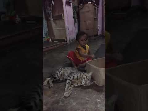 Hasnain cat me Sath 2019 march video