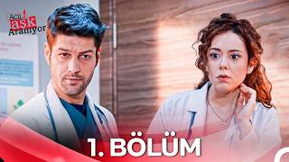 Acil Aşk Aranıyor 1. Bölüm (HD) - Yazlık Dizi Kulübü 🍉