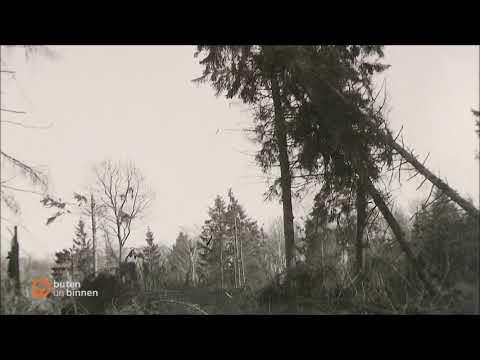 Wie der Jahrhundert-Orkan Quimburga vor 50 Jahren Bremen verwüstete.