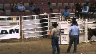 Riley roping at Lincoln Nebraska