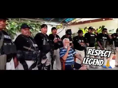 skoltu avo nana legend