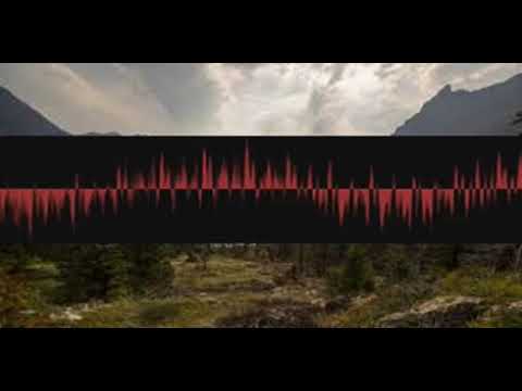 Latinmusicology Pizzicato okeiyrtmbr