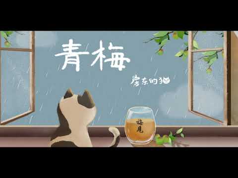 房東的貓 - 青梅