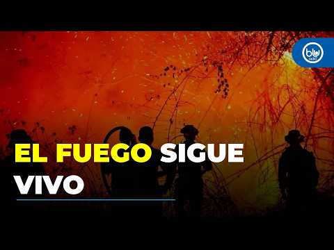 Incendios en el Tolima dejan 50.000 hectáreas perdidas: ¿fueron provocados?