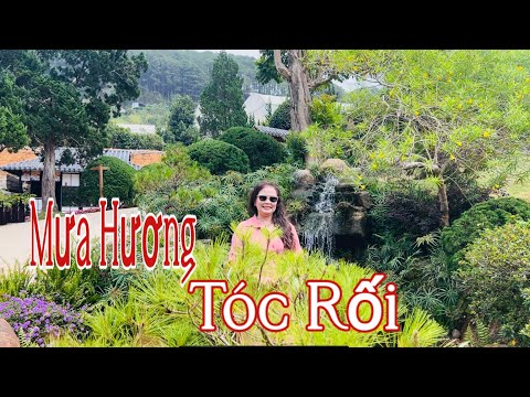 Mưa hương tóc rối - Thanh Trúc