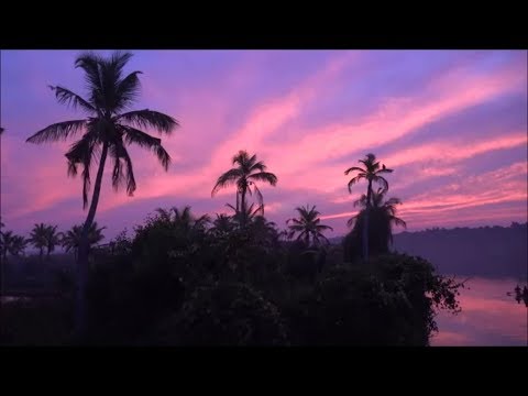 Marcus Meinhardt - Bamboo (Original Mix) [Music Video]