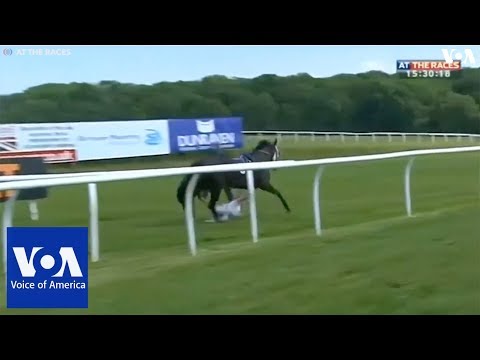 TV Reporter Gets Trampled by Horse
