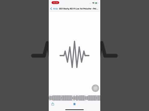 Rochy RD X Los Yai peluche - peluche Remix