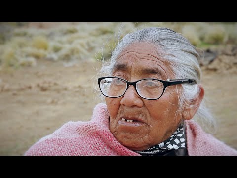 Transhumance in Patagonia