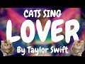 Cats Sing Lover by Taylor Swift Cats Sing Lover by Taylor Swift