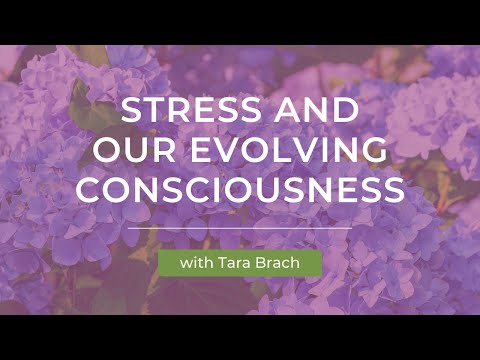 Stress and Our Evolving Consciousness with Tara Brach