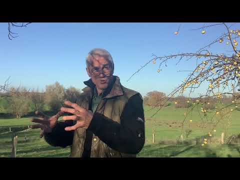 Ein Streifzug durch den Obstgarten