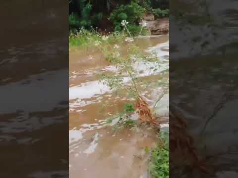 Grande chuva faz rio transbordar no Ceará. #shortsvideo #chuvahoje #tempestade