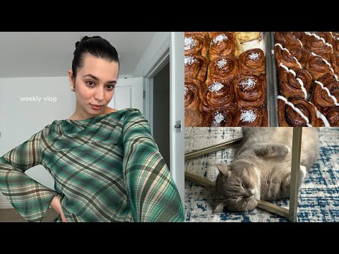 weekly vlog | cats are here, ramadan away from home, figuring out work