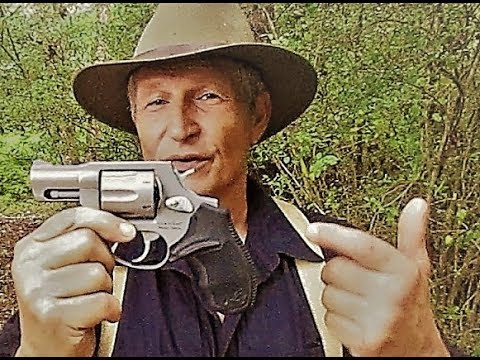 The Taurus 856 in Matte Stainless