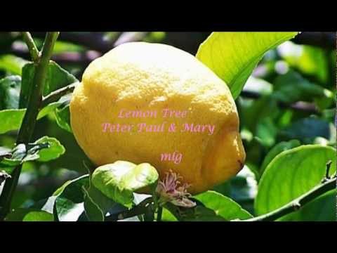 Peter Paul & May - Lemon Tree Lyrics