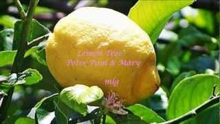 Peter Paul &amp; May - Lemon Tree Lyrics