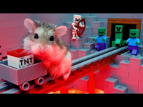 MAJOR HAMSTER vs ZOMBIES - Lego MINECRAFT TREASURE HUNT