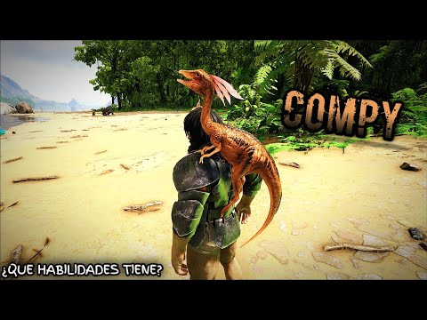 cómo tamear un compy en ark