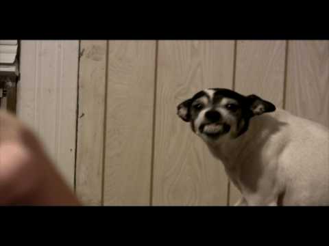 Cajun Man with Vicious Dog