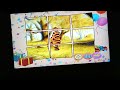 Juegos DVD Winnie The Pooh Feliz Cumpleaños 2003