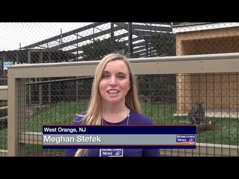 Turtle Back Zoo Adventure Exhibit