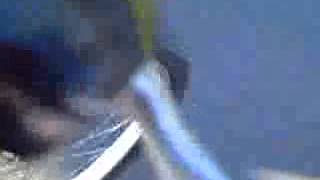 Как нужно разговаривать с ГАИ