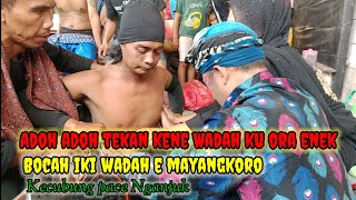 Download lagu CELENG GEMBEL. AKU BUTOH SENG TAK SELEI‼️. BOCAH IKI ADAHE MAYANGKORO. mp3 Download lagu CELENG GEMBEL. AKU BUTOH SENG TAK SELEI‼️. BOCAH IKI ADAHE MAYANGKORO. mp3