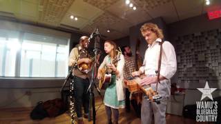 Lindsay Lou & The Flatbellys - The Fix [Live at WAMU's Bluegrass Country]