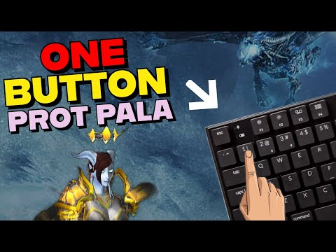 Protection Paladin "1 Button Macro" actually works pretty sick tbh!