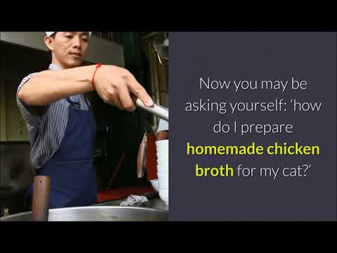 YouTube video about: Can cats have chicken broth with onion powder?